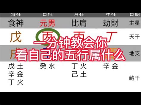 五行屬什麼怎麼看|五行怎麼算？輕鬆掌握五行屬性計算秘訣！ 